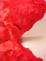 Red Mesh Push-up Cup Lace Teddy Lingerie by My Secret Drawer® espressoblues.com 32