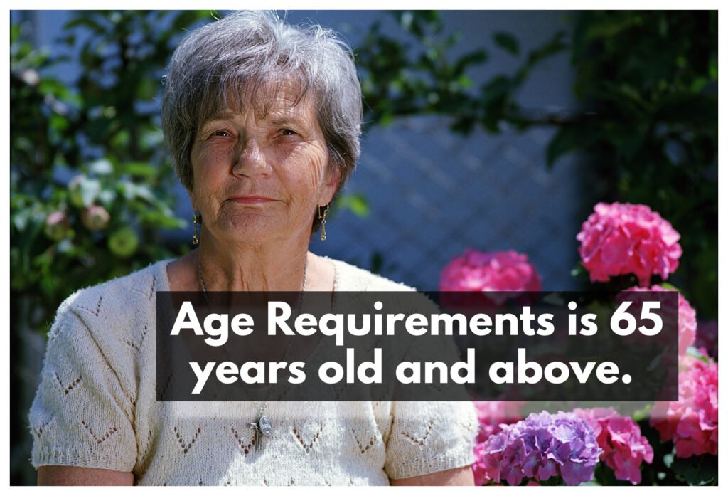 The Medicare age requirements is 65 years old and above.