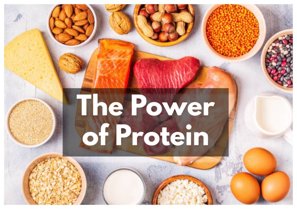 Protein Senior Citizens Need: Requirements for Healthy Aging