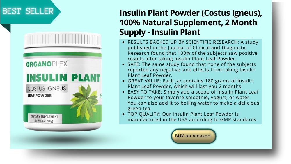 insulin plant