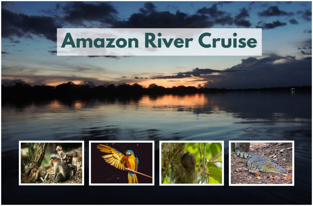 With each stop along this wondrous journey, you'll be able to discover the hidden gems of the Amazon and appreciate the beauty of its unique cultures.