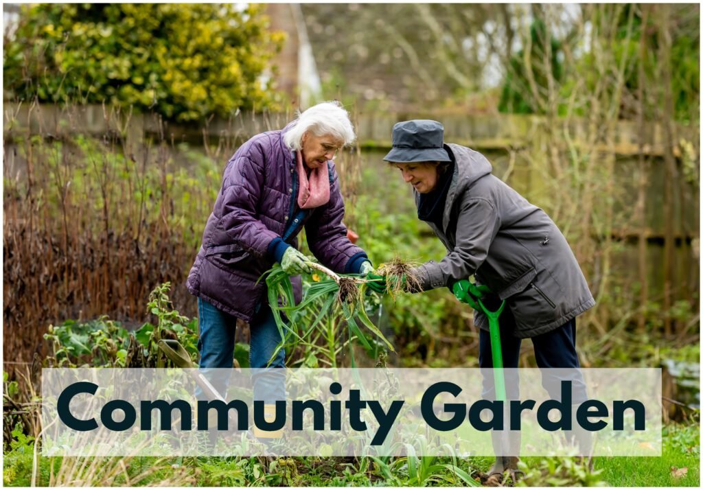 Community gardens can provide seniors with a sense of accomplishment and pride as they watch their plants grow and flourish.