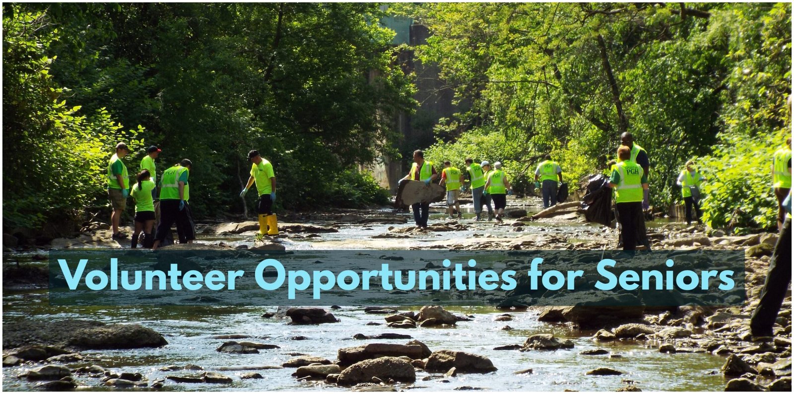 Volunteer Opportunities for Seniors is a great way for seniors to give back to their community while making meaningful connections.