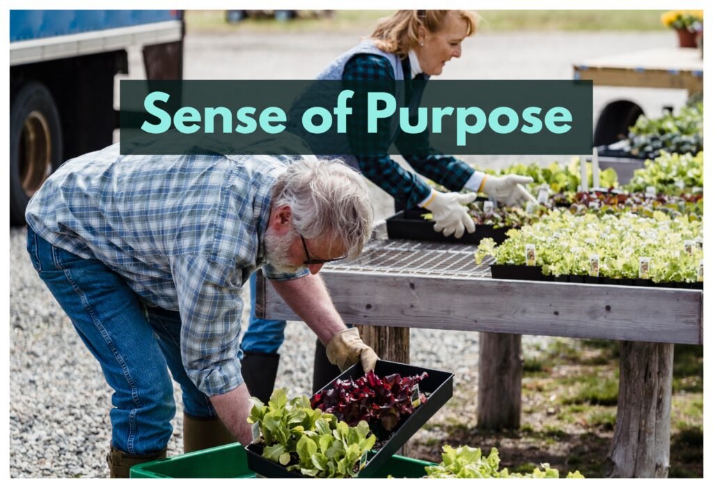 There are plenty of ways for seniors to stay active and connected in retirement villages, from volunteering to joining in on social and cultural activities.