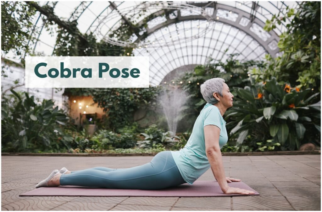 Cobra Pose can improve spinal flexibility and strength, reduce back pain, and enhance posture for seniors with regular practice.