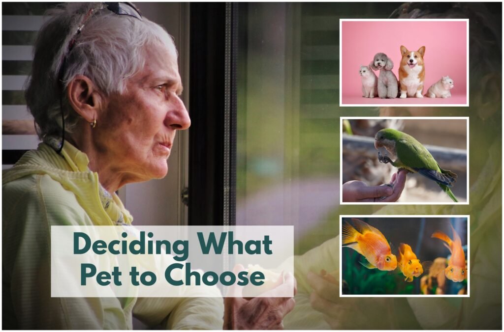 A senior deciding the type of pet that is right for her.