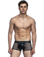 Sheer Brief with Leather-look Pouch,Sheer Brief,Brief