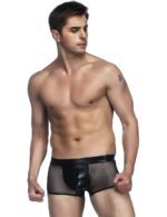 Sheer Brief with Leather-look Pouch,Sheer Brief,Brief