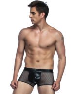 Sheer Brief with Leather-look Pouch,Sheer Brief,Brief
