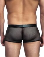 Sheer Brief with Leather-look Pouch,Sheer Brief,Brief