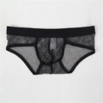 Hot Mesh Briefs