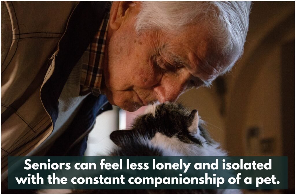 Seniors can enjoy the joys of life with the unconditional love of a pet, providing them with a constant source of companionship!