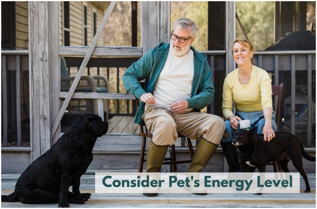 When choosing the right pet for seniors, you should also consider not just you activity level but your pet's energy level.