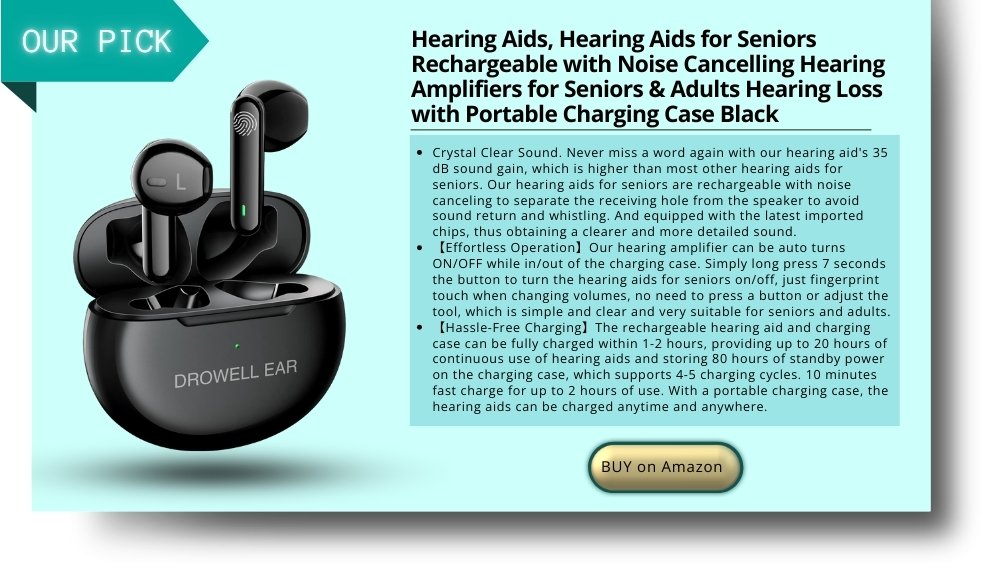 hearing aid