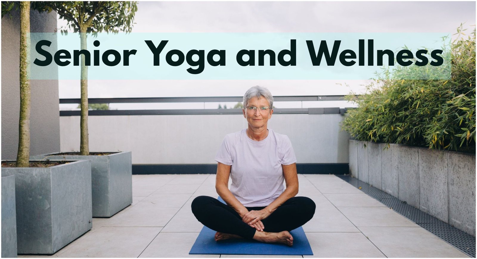 Senior Yoga and Meditation: Promoting Great Wellness and Vitality in Later Years