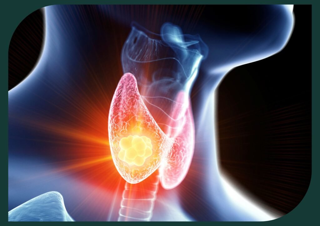 The thyroid gland is like a tireless guardian, sending messages to every part of our body. Without it, our bodily functions would suffer.