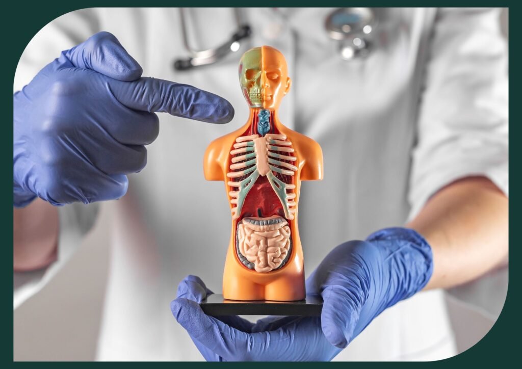 If suspecting hyperthyroidism in aging, consult a healthcare professional for evaluation and treatment.