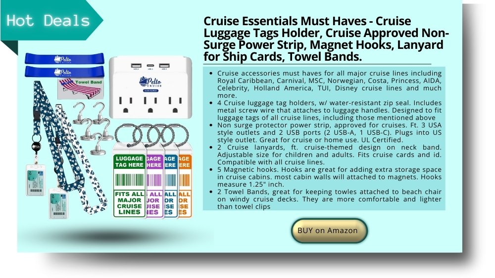 cruise essentials