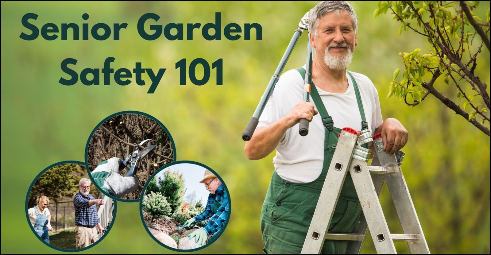 Senior Garden Safety 101: Tips and Tricks to Prevent Falls and Accidents