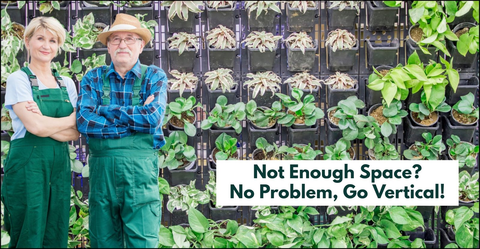 Vertical Gardening for Seniors: Everything You Need to Know for Success