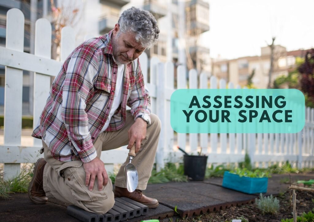 Choose the perfect garden location for healthy, thriving plants. Ensure ample sunlight for growth.