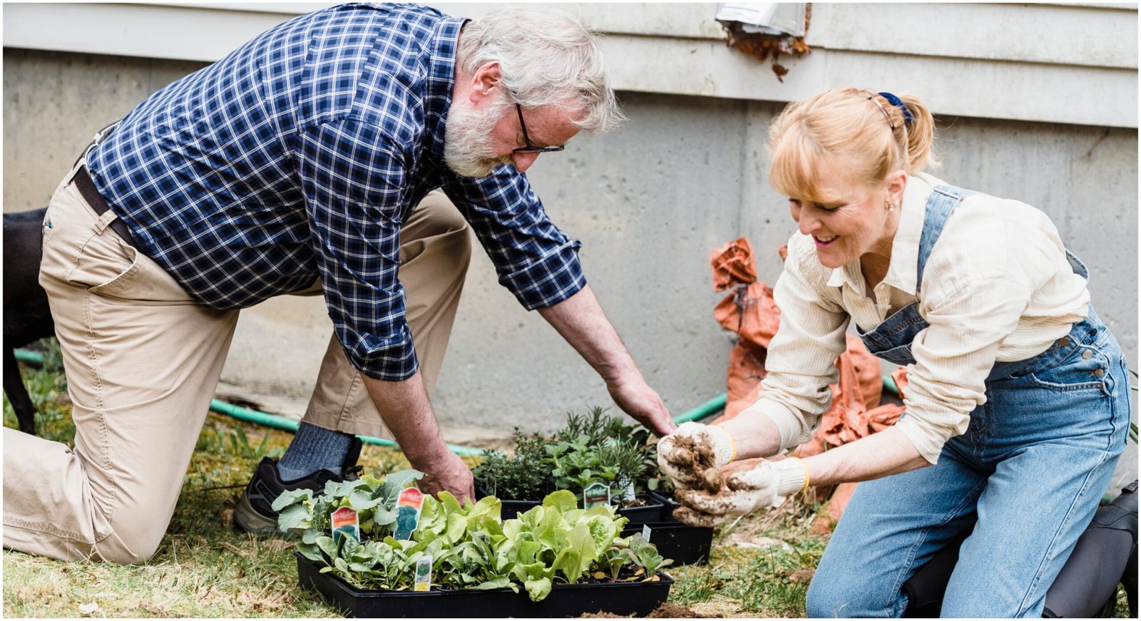 Sowing Seeds of Savings: Senior Garden Design and Plan Without Breaking the Bank