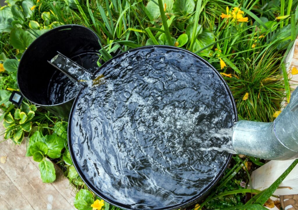 Rain barrels save money and benefit plants by using nutrient-rich rainwater.