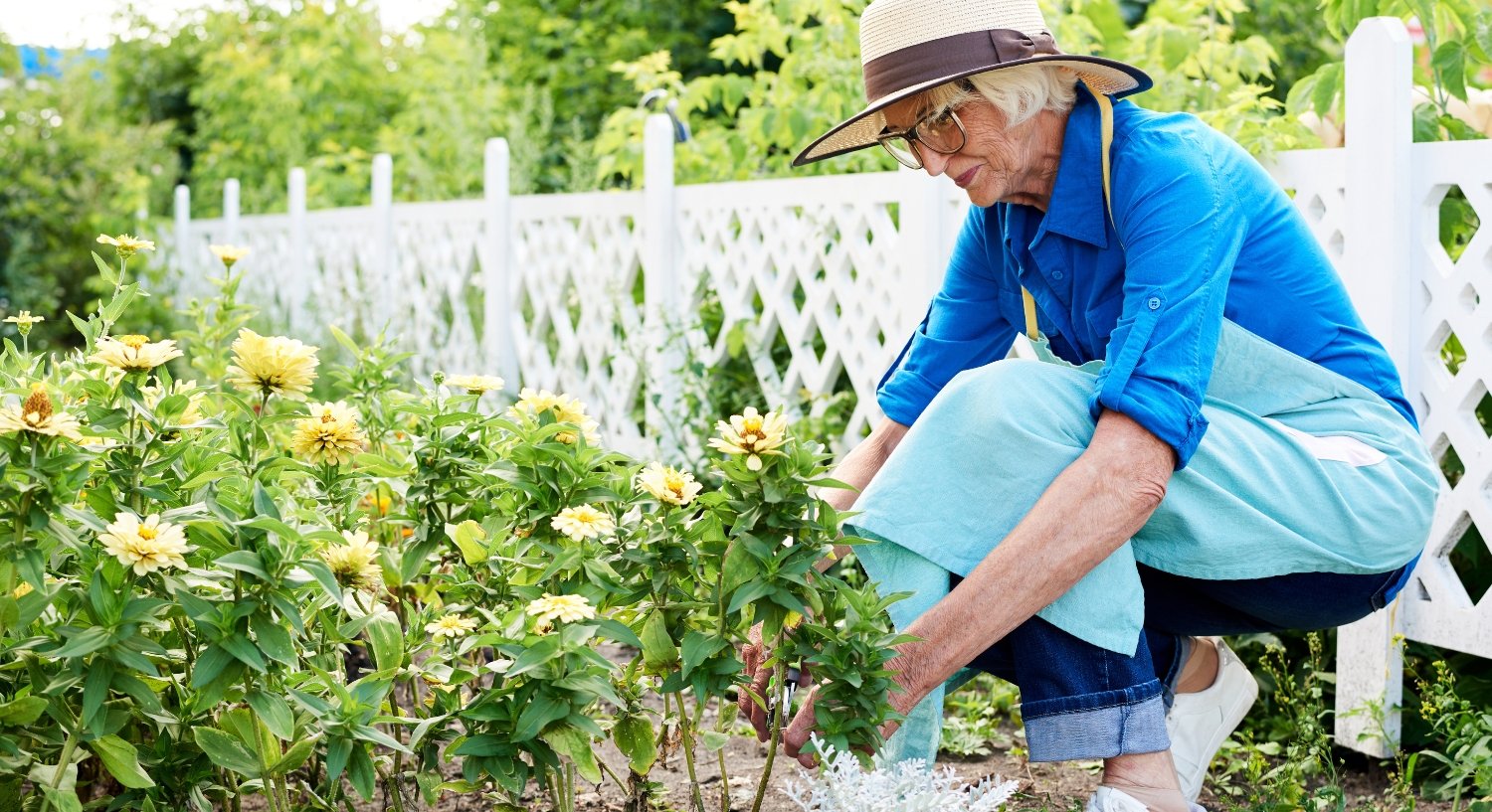 Senior Garden Essentials: Crafting Your Perfect Planting Checklist