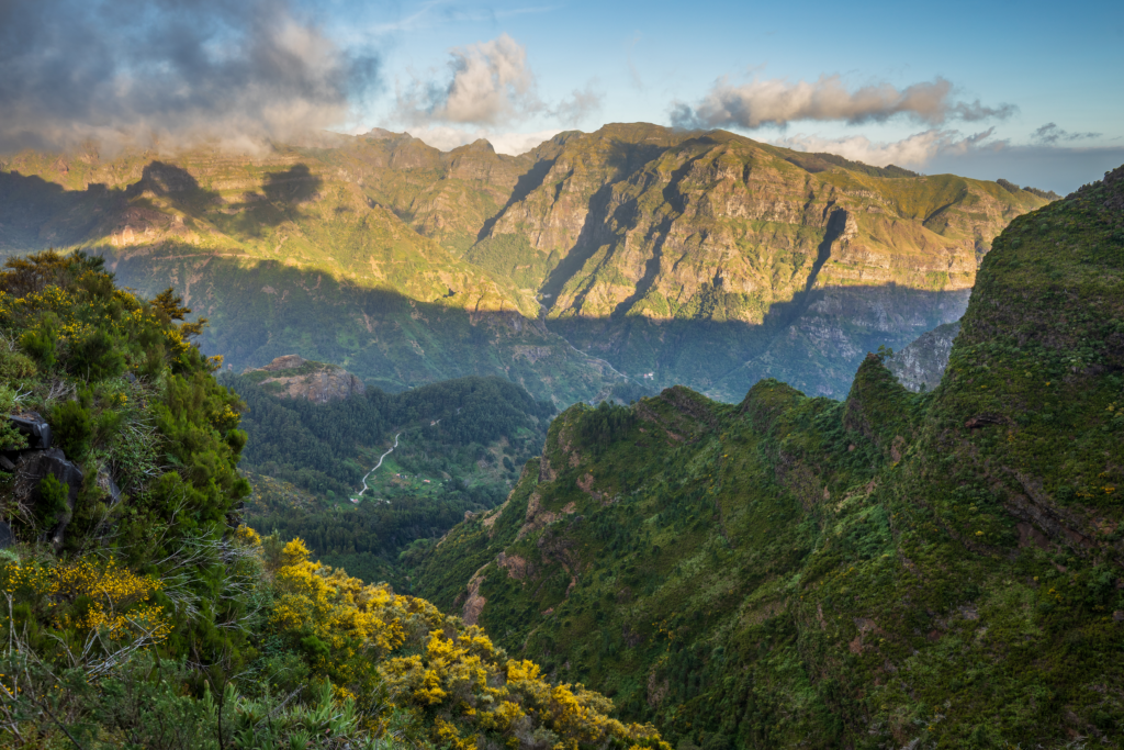 An image of the Ribeira Brava in Madeira.