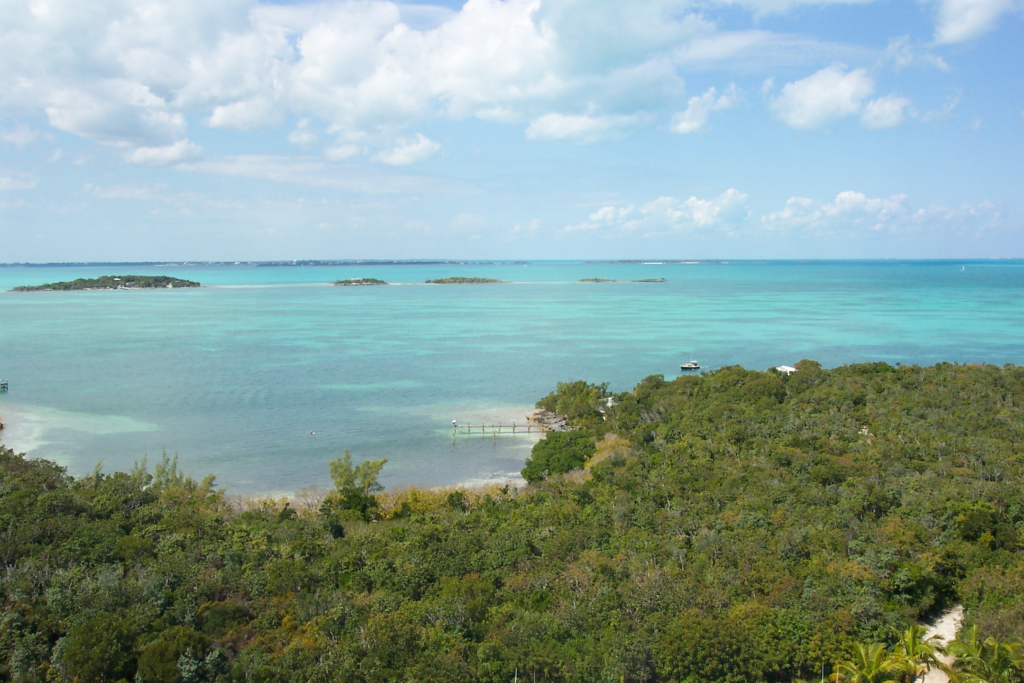An image of a beach within the Abaco Islands.