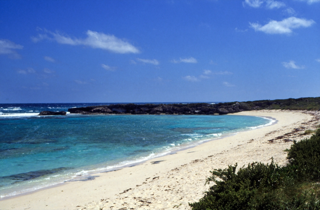An image of a beach within the Long Island.