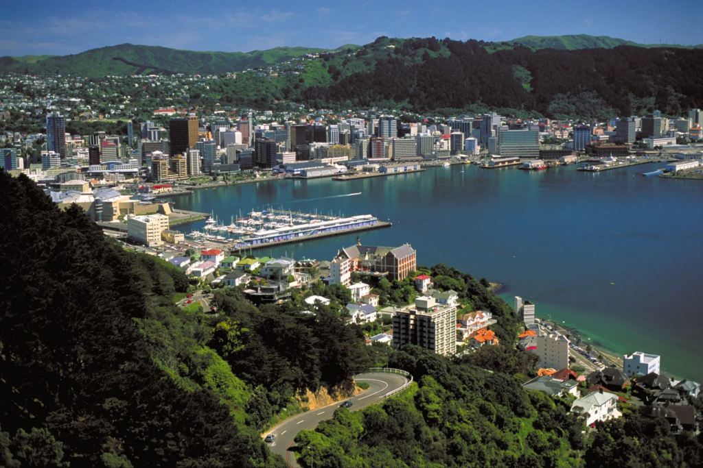 A aerial view of Wellington city. 