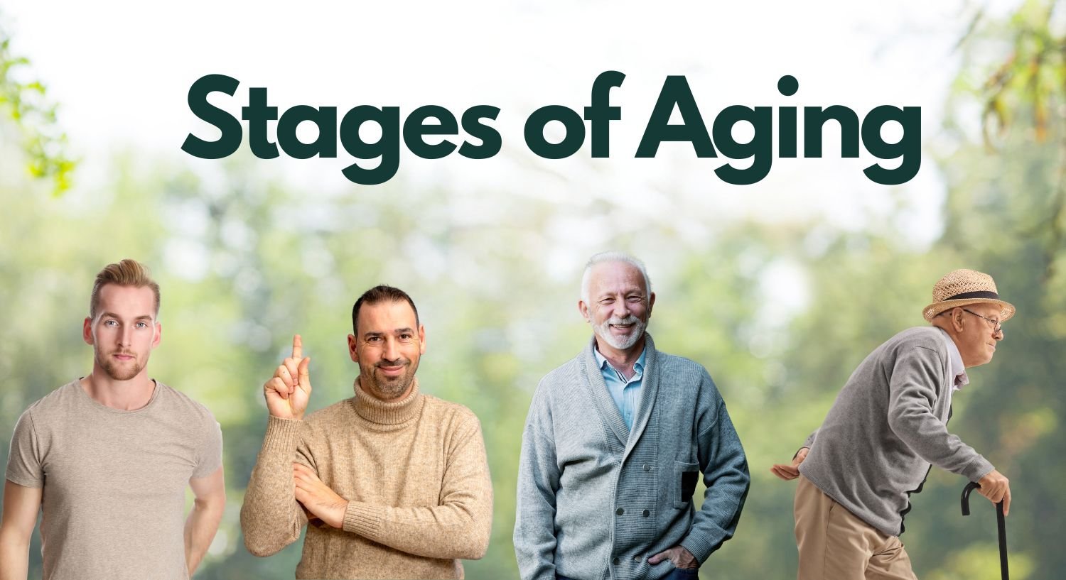 Understanding the Different Stages of Aging: Decoding the Golden Years