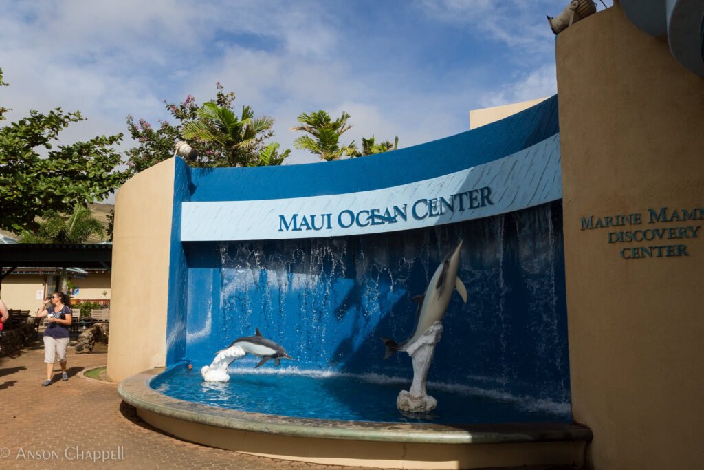 An image of the Maui Ocean Center front entrance.