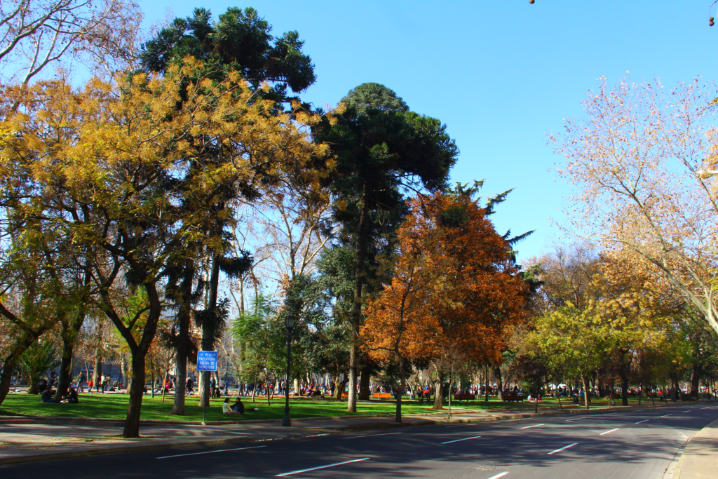 An image of tourists visiting the Parque Forestal.