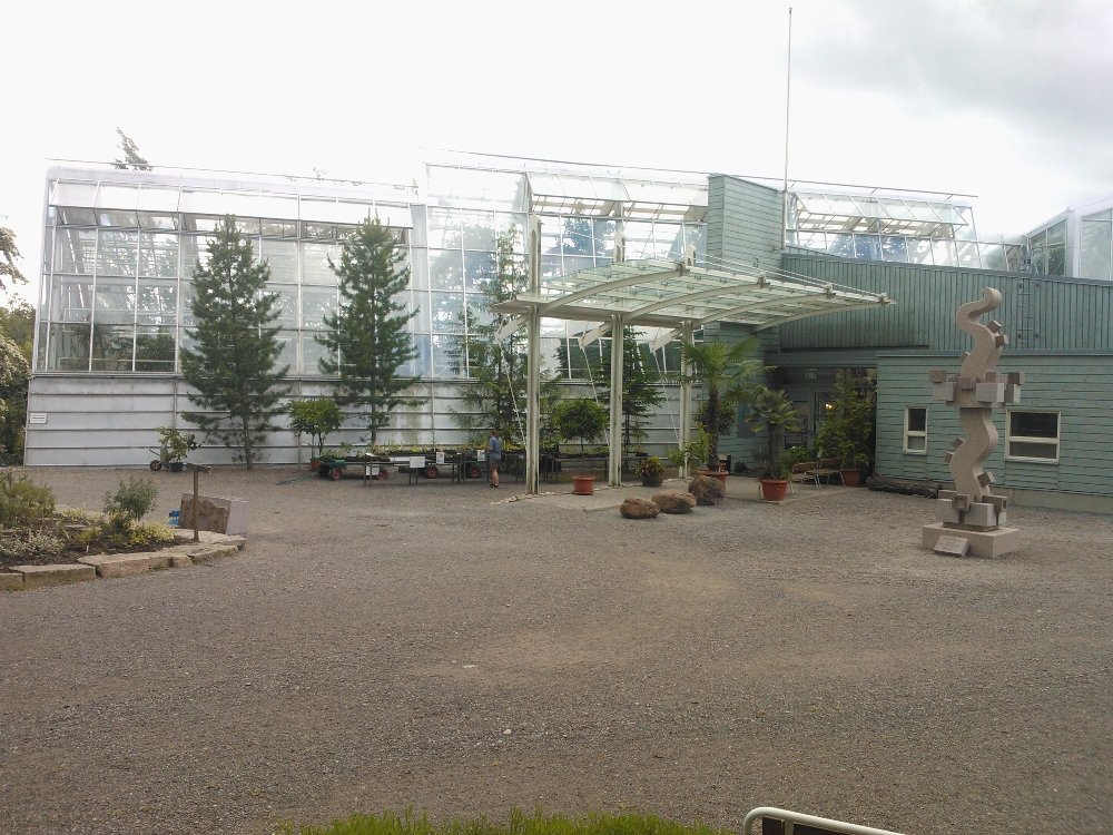 An image of the Turku Botanical Garden.