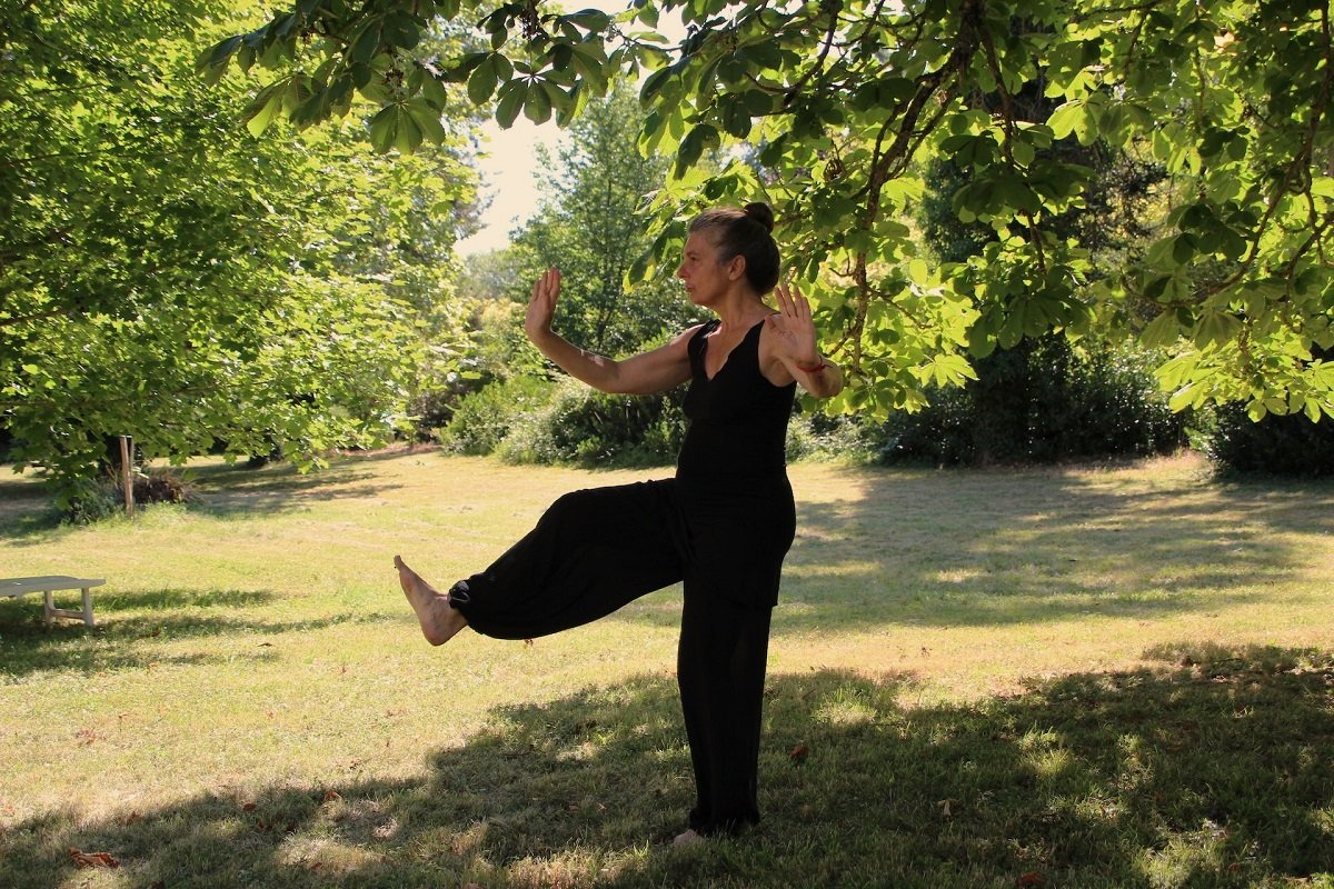 Senior Fitness Tai Chi: 3 Secret Mind and Body Powers Revealed!