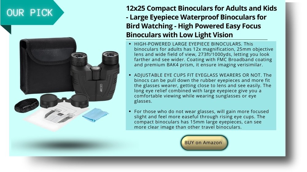 binoculars