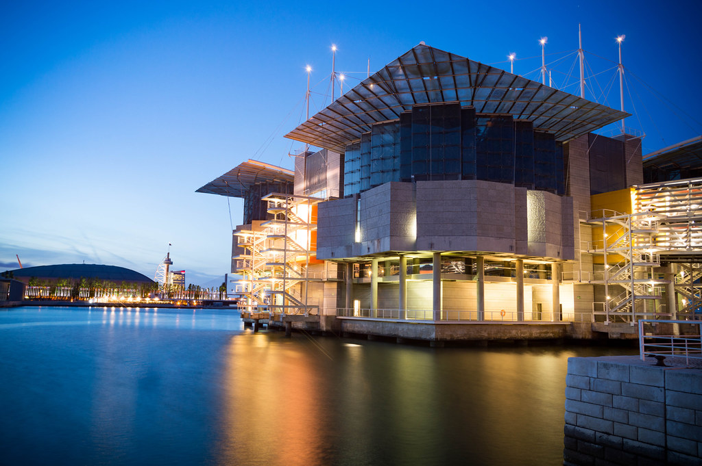 An image of the Lisbon Oceanarium at night. 