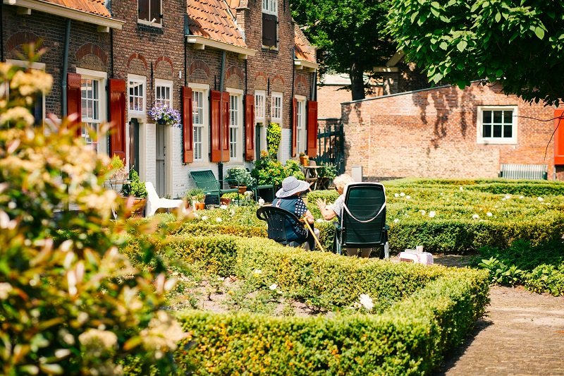 Long-time gardening enthusiasts take pride in growing healthy flowers, fruits, and vegetables. But to do so, they must contend with insect pests that are determined to cheat them out of success.