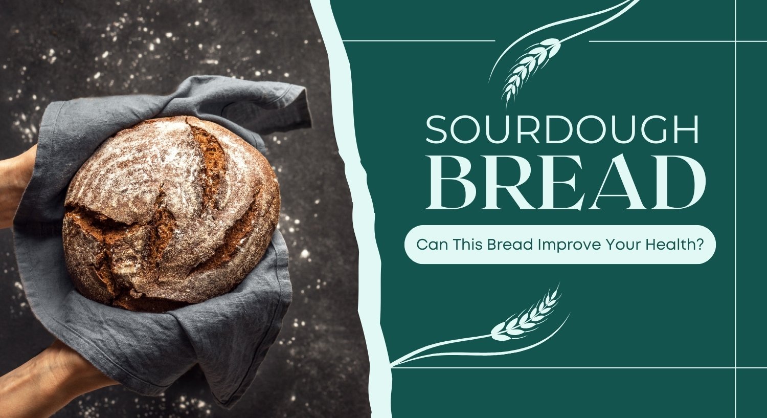 Sourdough Bread for Wellness: Can This Boost Your Health?