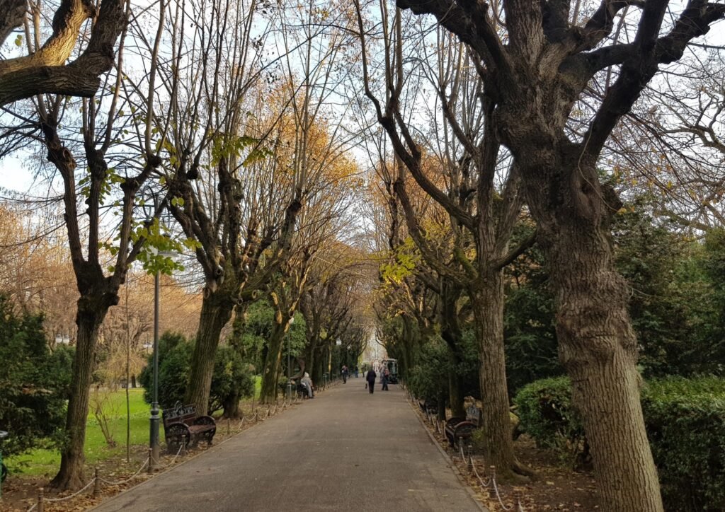 Cismigiu Gardens