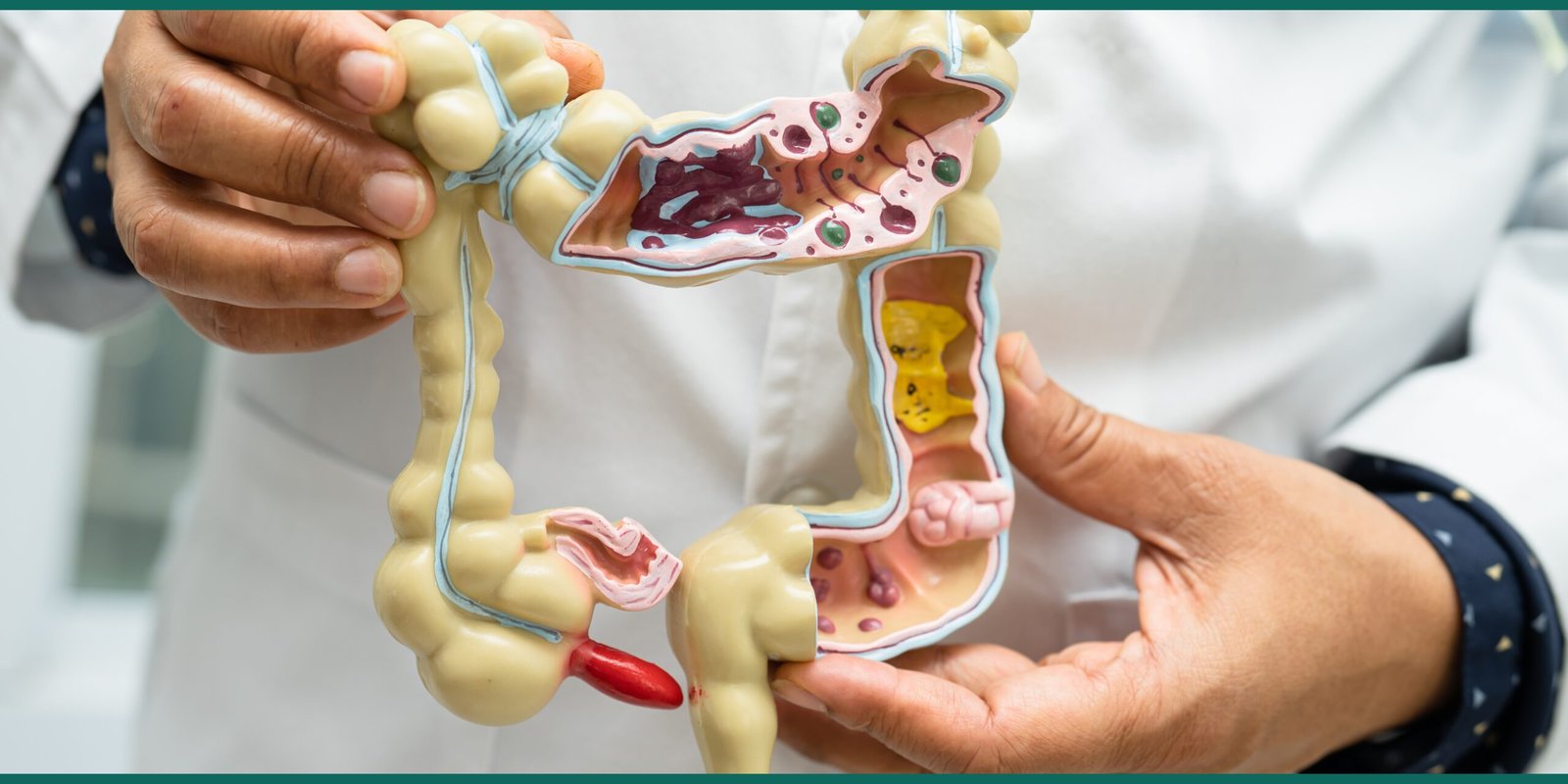 The 50+ Guide to Gut Health: Nourish Your Body, Mind, and Immunity