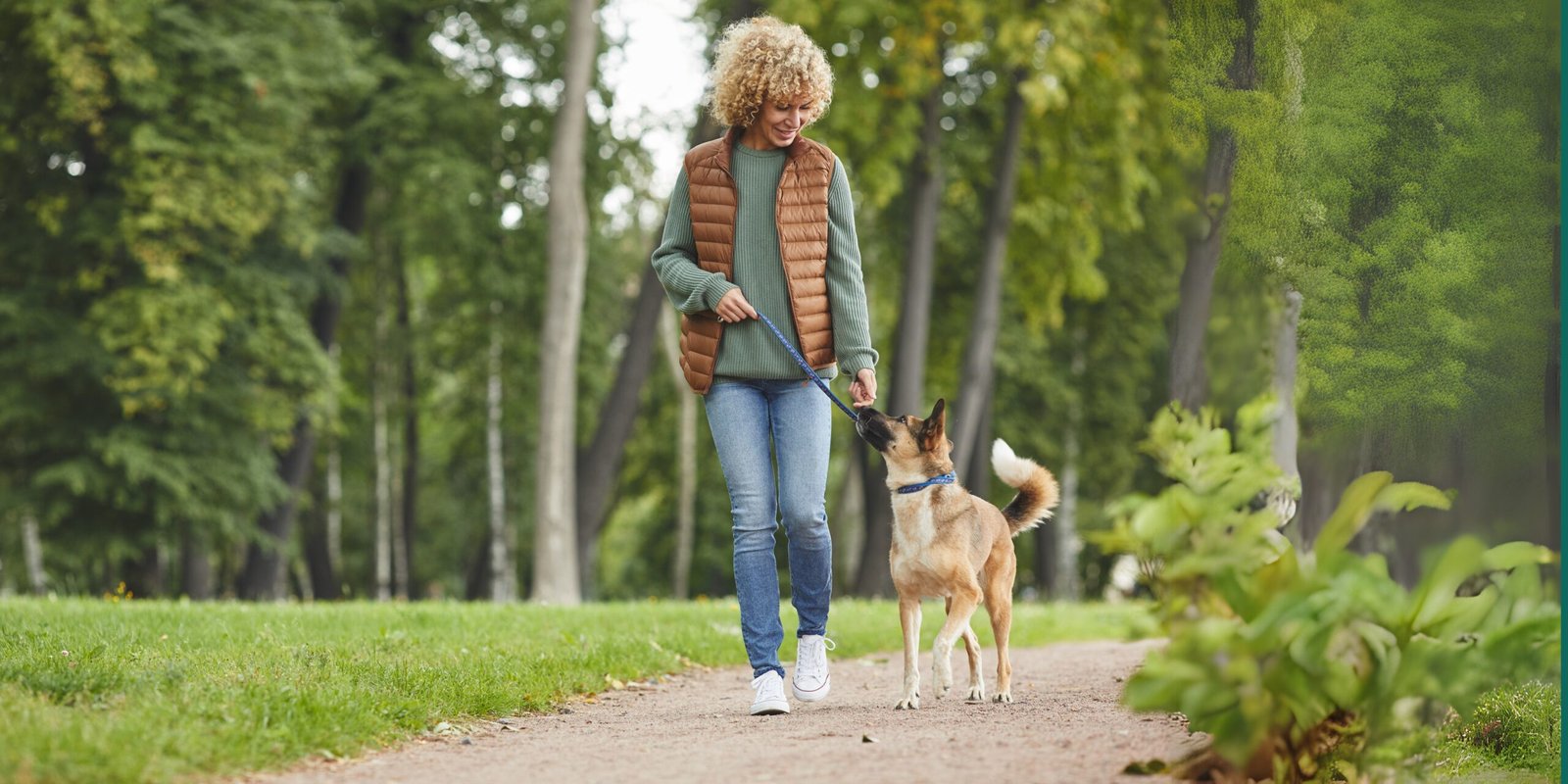 7 Incredible Ways Daily Dog Walks Boost Your Pet’s Well-Being