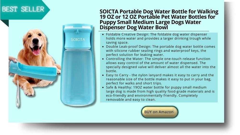 dog water bottle