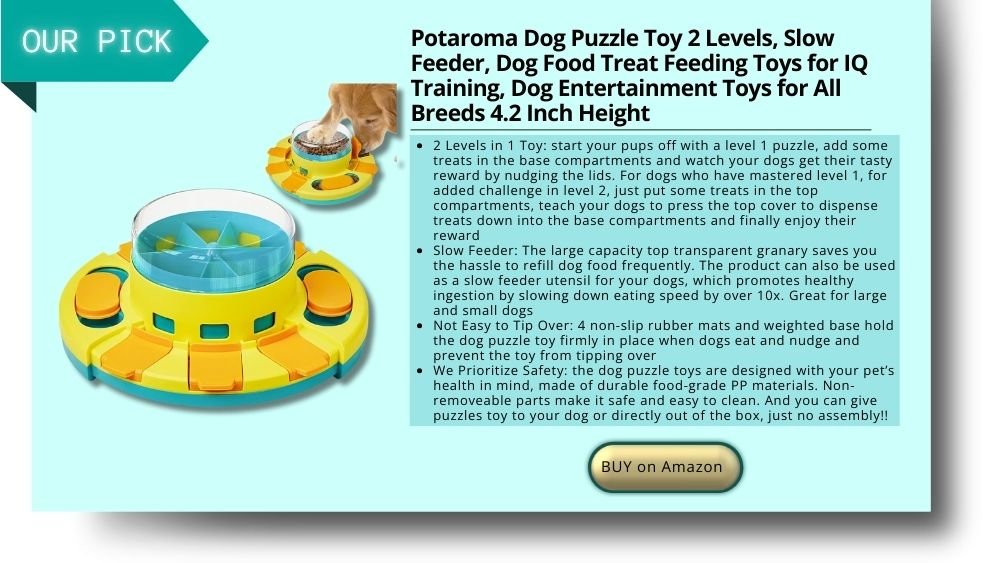 a dog puzzle toy