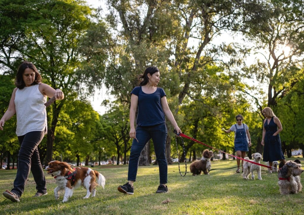 socialization opportunity for daily dog walk