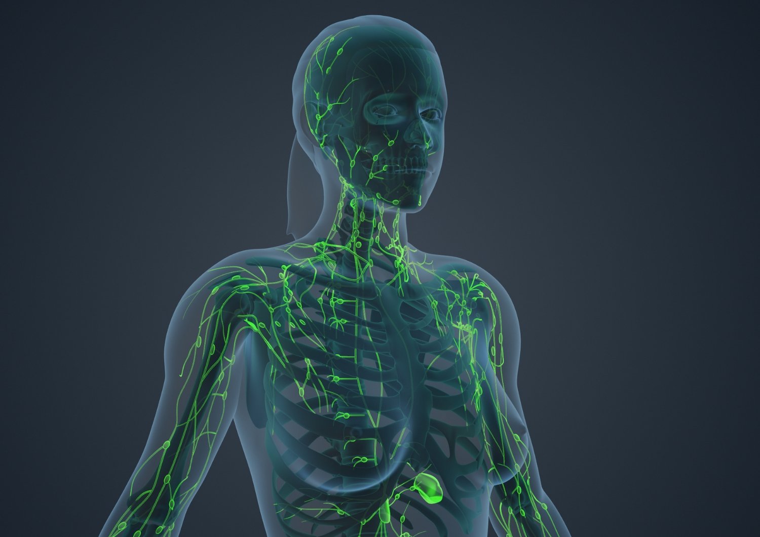 Lymphedema Treatment: Growth Factor Therapy Falls Short
