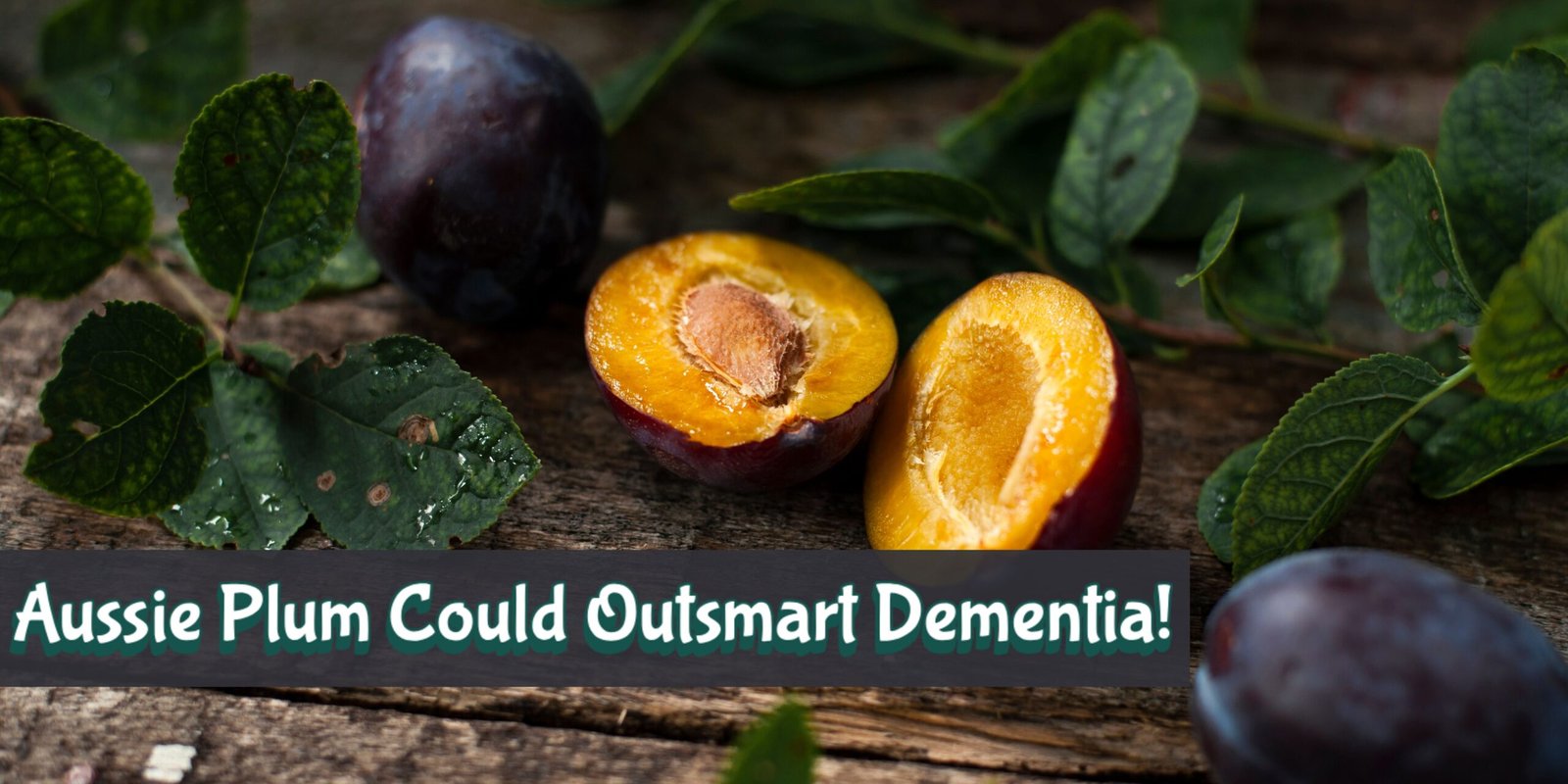 Purple Power: How This Aussie Plum Could Outsmart Dementia!