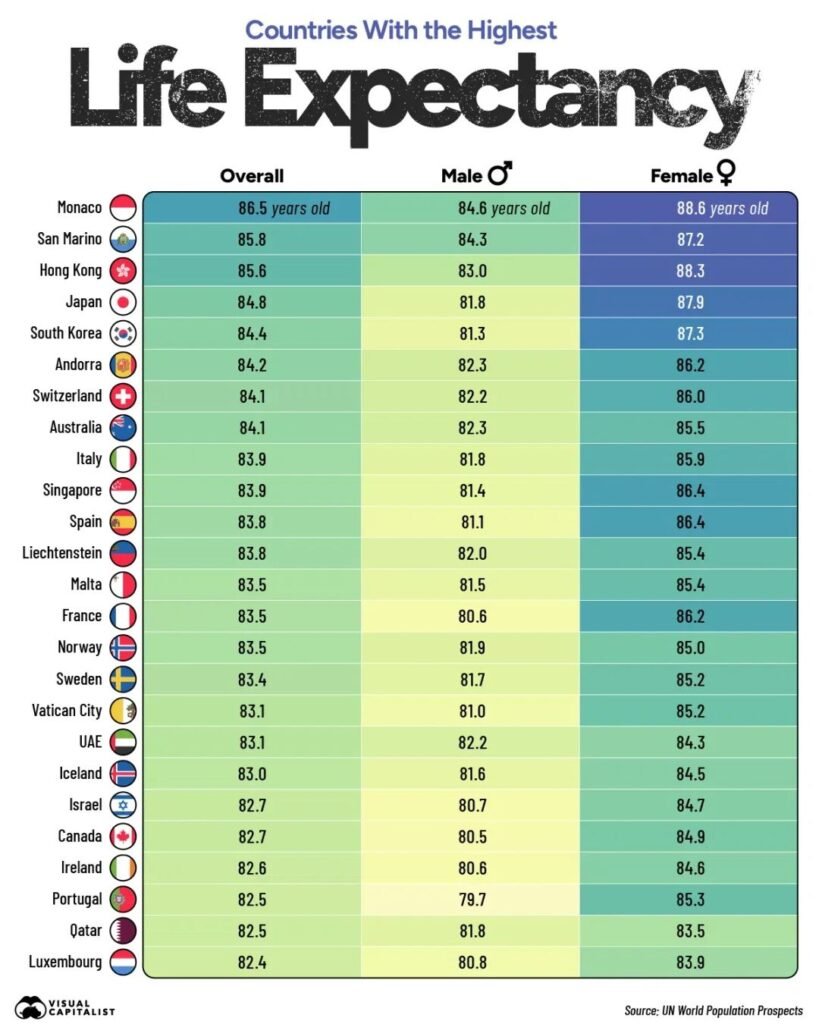 An image of a charge on the average life expectancy for each countries.
